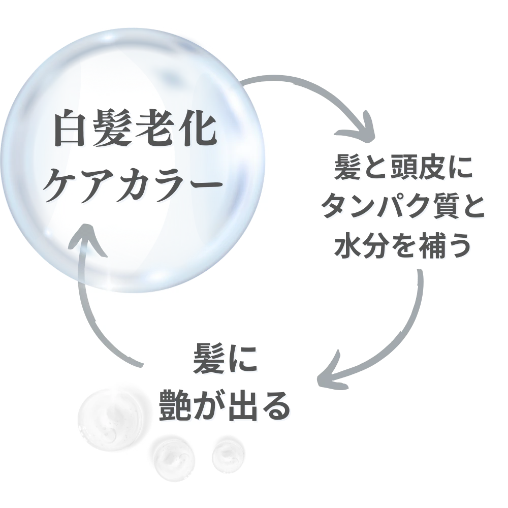 白髪老化ケアカラー公式サイト