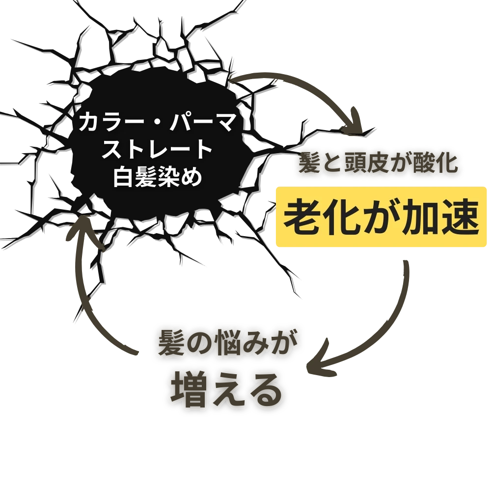 白髪老化ケアカラー公式サイト